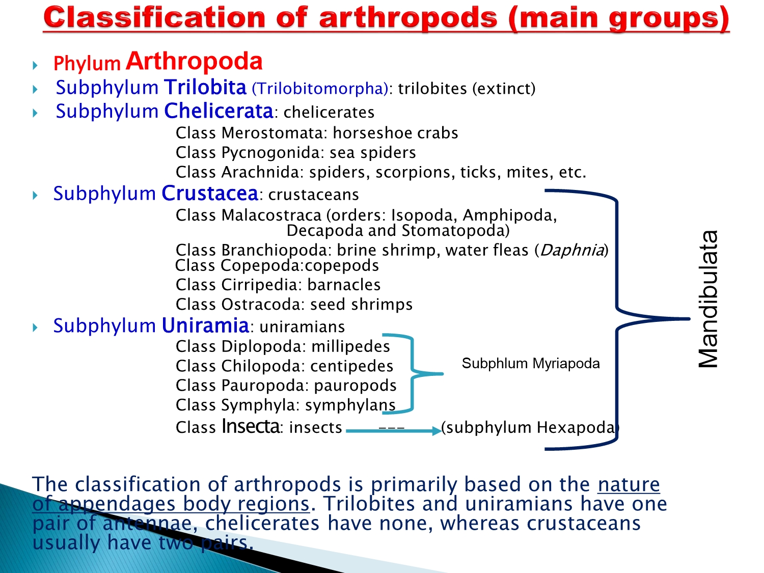 No preview available